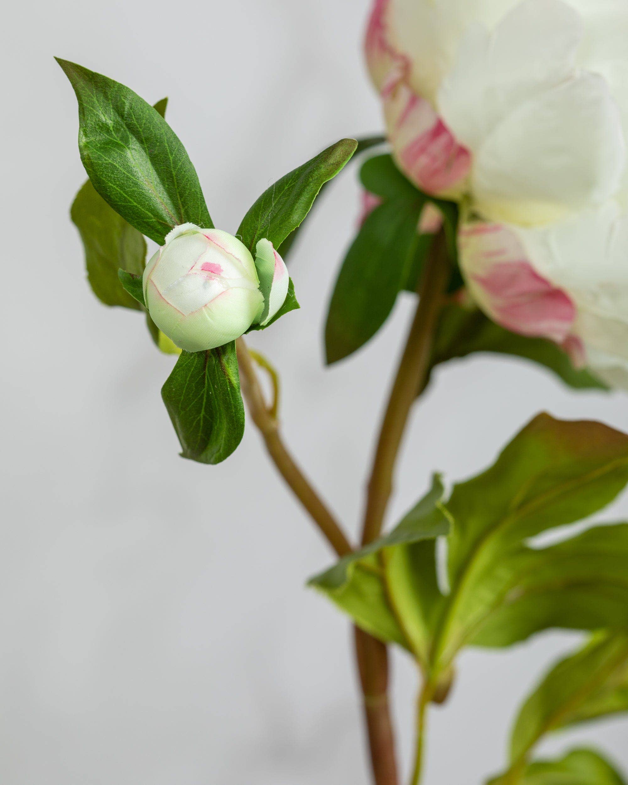 Artificial White Peony Silk Flower Bouquet - 19.5 Inch Realistic Fake Peony Stems for Home Decor, Wedding Centerpieces & Floral Arrangements