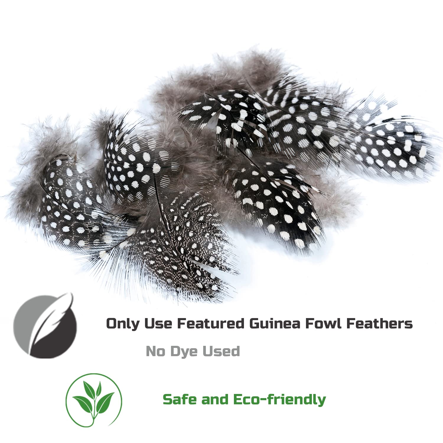 Interactive Cat Feather Wand Toy Set - 2PCS Elastic Wands & 7PCS Feather Refills - Fun Kitten Toys for Indoor Cats to Play & Chase - Perfect for Exercise, Bonding & Stimulation