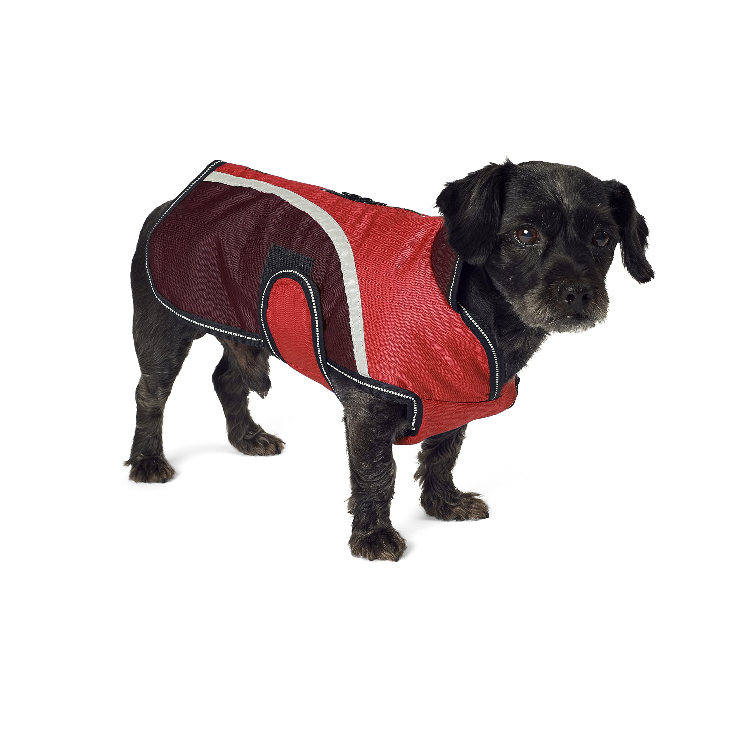 PetRageous Calgary Dog Coat - Waterproof Winter Jacket for Small to Medium Dogs, Red - Perfect for Cold Weather Walks and Outdoor Adventures