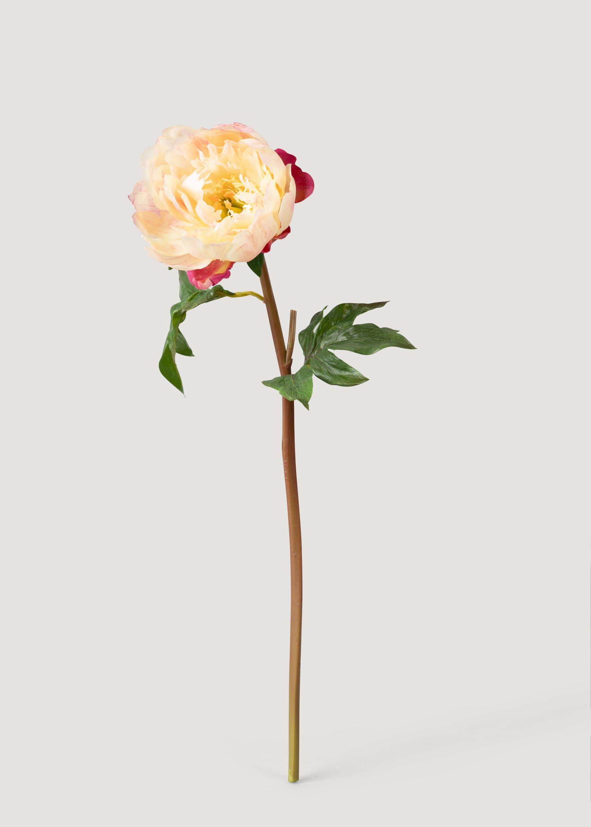 Artificial Peony Flower in Peach Pink - 20 Stems - Perfect for Home Decor, Wedding Centerpieces, and DIY Floral Arrangements