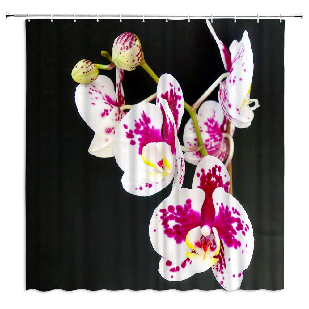 White and Purple Phalaenopsis Orchid Shower Curtain - Black Background Floral Bathroom Decor Set with Hooks, 35x70 Inch, Polyester Fabric - Perfect for Modern Bathrooms, Spa Retreats & Home Decor