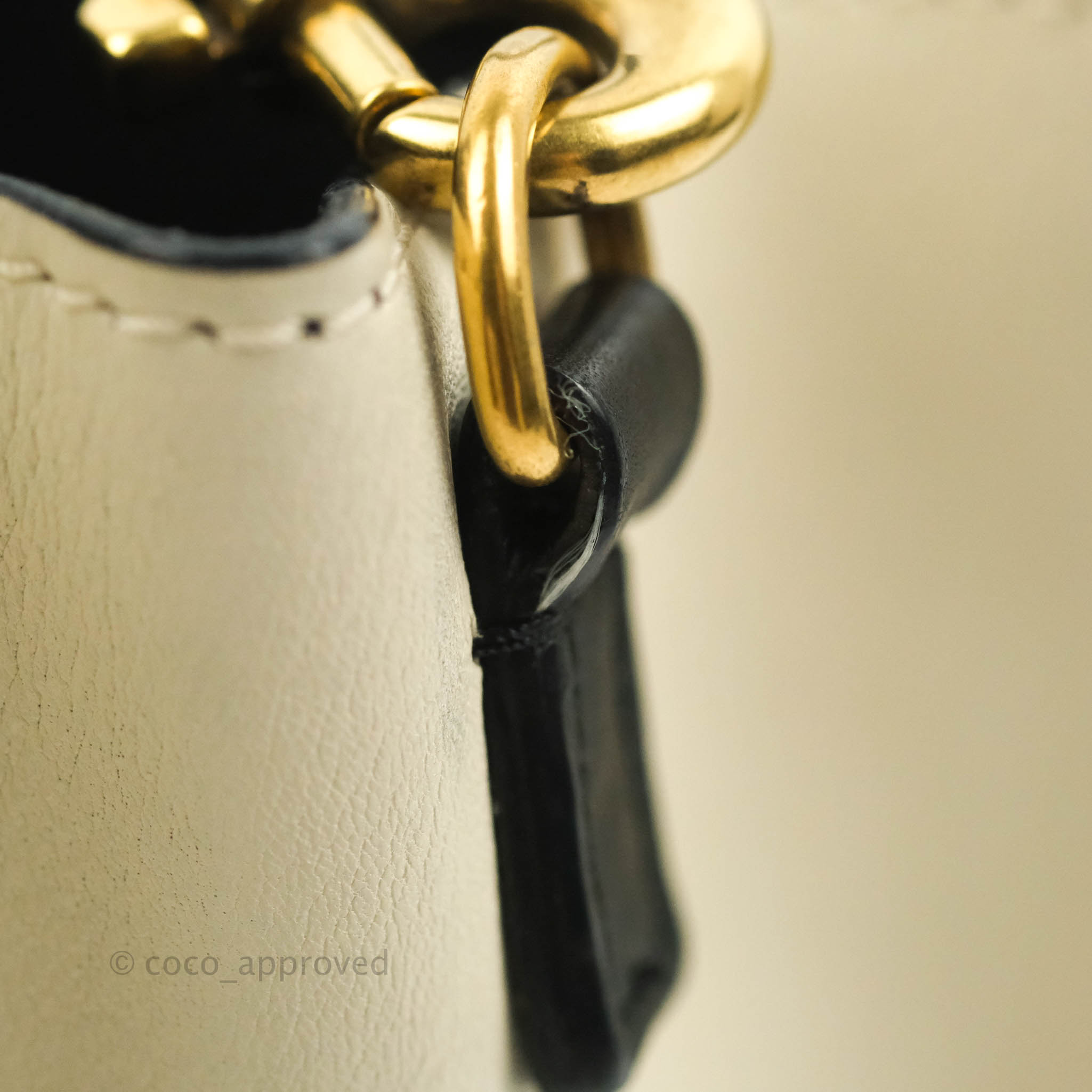 Celine Nano Luggage Bag in Grained Calfskin Leather with Gold Hardware - White, Black & Beige Colors | Perfect for Work, Travel & Everyday Use