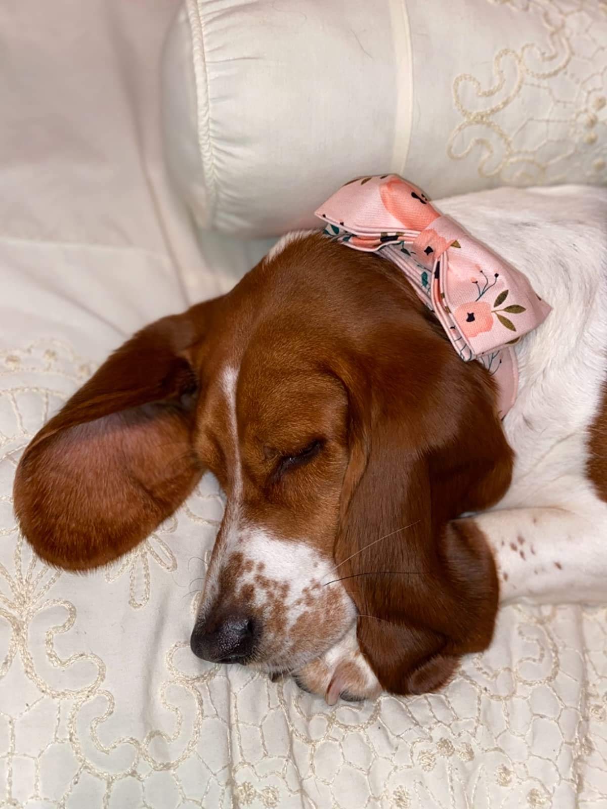 Elegant Bow Tie Dog Collar with Adjustable Fit - Comfortable Pet Collar for Small, Medium & Large Dogs & Cats - Perfect for Weddings, Parties & Daily Walks