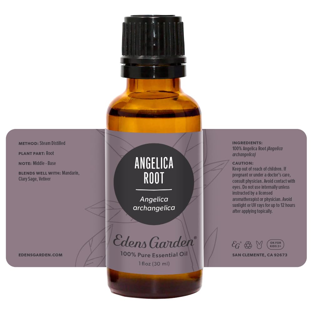 Edens Garden Angelica Root Essential Oil - 100% Pure, Undiluted, Therapeutic Grade for Aromatherapy | Best for Diffusers, Candles, Laundry & Safe for Kids | 30ml (1 fl oz) | Relaxation, Stress Relief & Home Fragrance