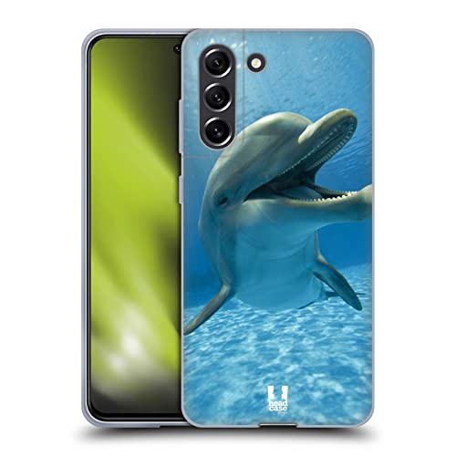 Close-Up Dolphin