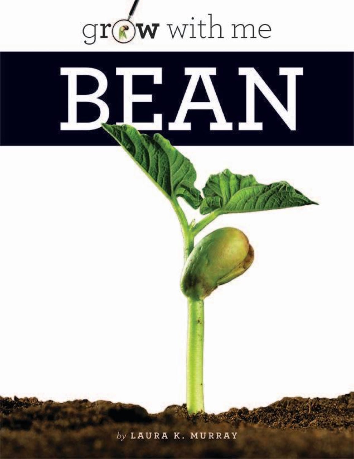 9781608185603 - Premium Dried Beans for Cooking | Bulk Beans for Soups, Stews & Healthy Recipes