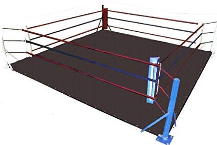 MMA Floor Ring Canvas Mat - Durable Wrestling, Boxing, Gymnastics & Martial Arts Training Mat for Home Gym, Dojo & Competition | Non-Slip Surface for Safe Practice