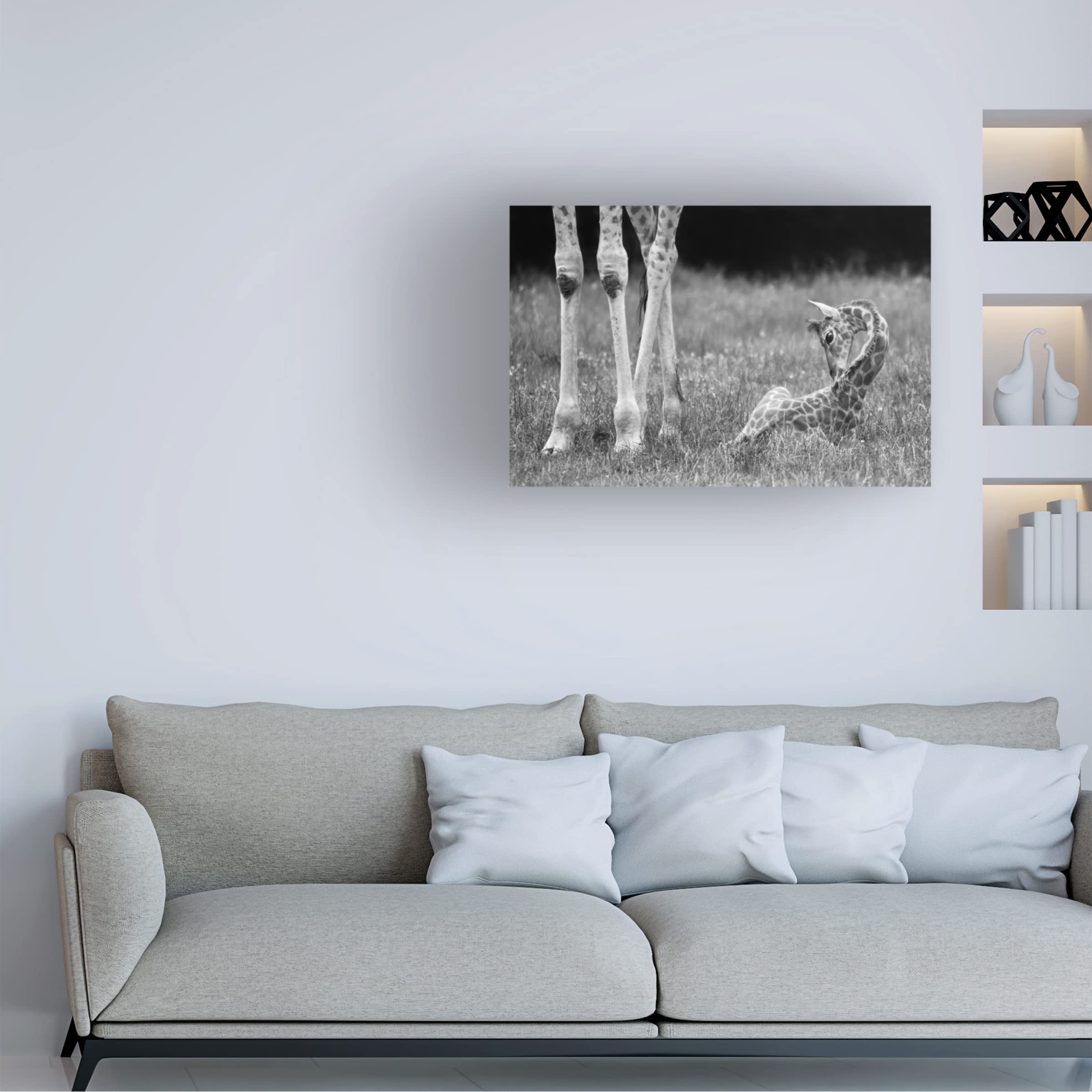 Trademark Fine Art 'Well Protected I' Canvas Wall Art by Andreas Feldtkeller - Modern Home Decor for Living Room, Bedroom & Office