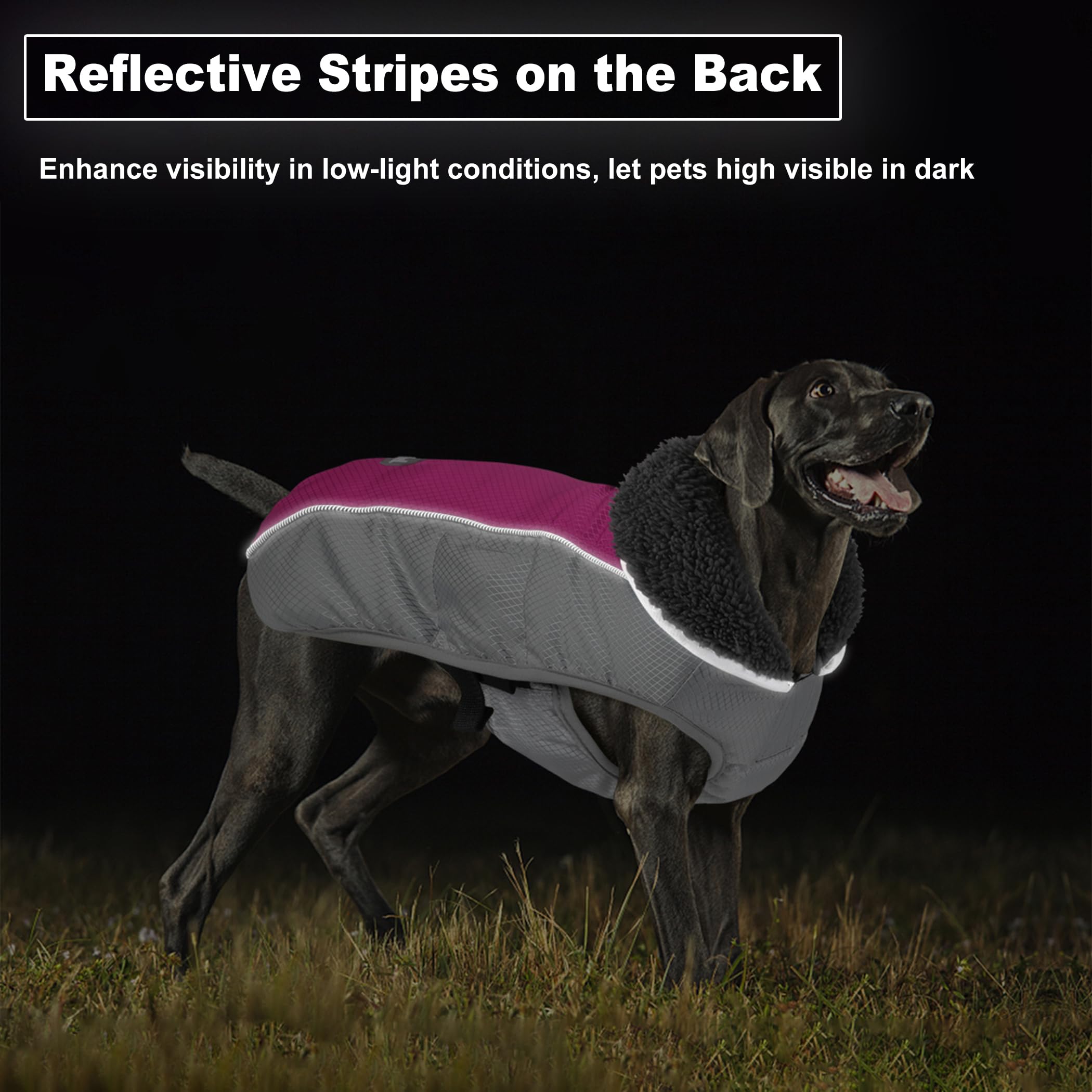 Waterproof Ripstop Dog Winter Coat with Leash Hole & Reflective Trim - Warm Fleece Snow Vest for Small, Medium, Large Dogs (Rosy Red, Size L) - Perfect for Cold Weather Walks, Outdoor Adventures & Winter Protection