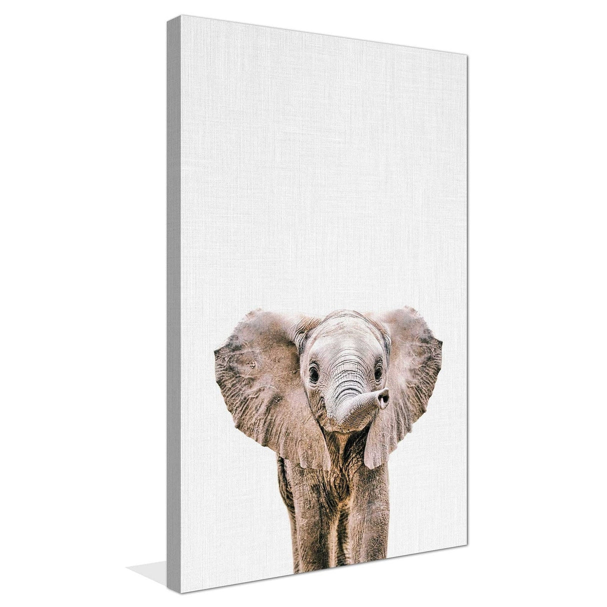 Baby Elephant Wall Art by Tai Prints - Stretched Canvas Print for Nursery, Kids Room & Home Decor