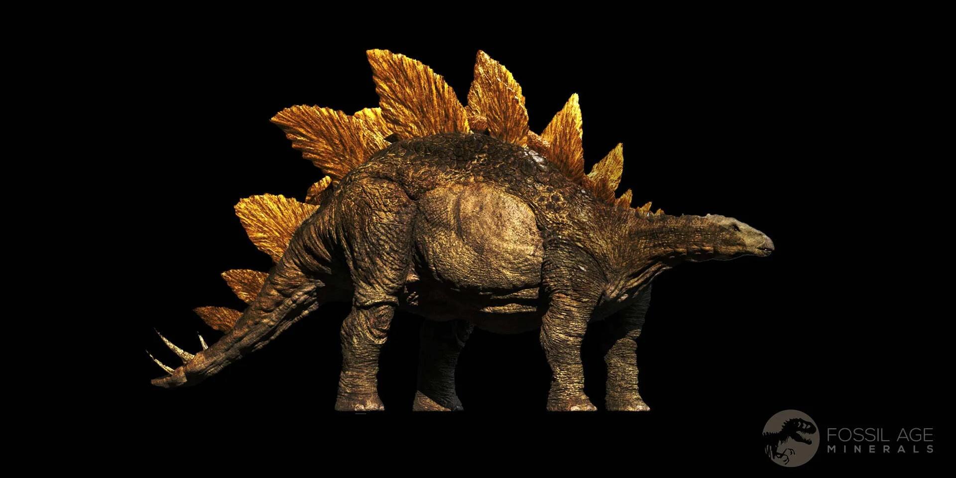 Authentic Stegosaurus Fossil Bone from Morrison Formation Wyoming - Jurassic Dinosaur Fossil with COA - Perfect for Paleontology Collectors & Dinosaur Enthusiasts
