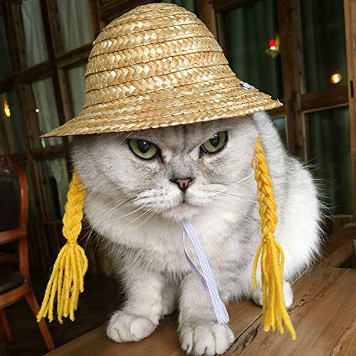 Cute Pet Straw Sombrero Hat - Sun Cap with Braid for Small Dogs & Cats - Yellow Sun Bucket Cap for Birthday Party & Outdoor Play