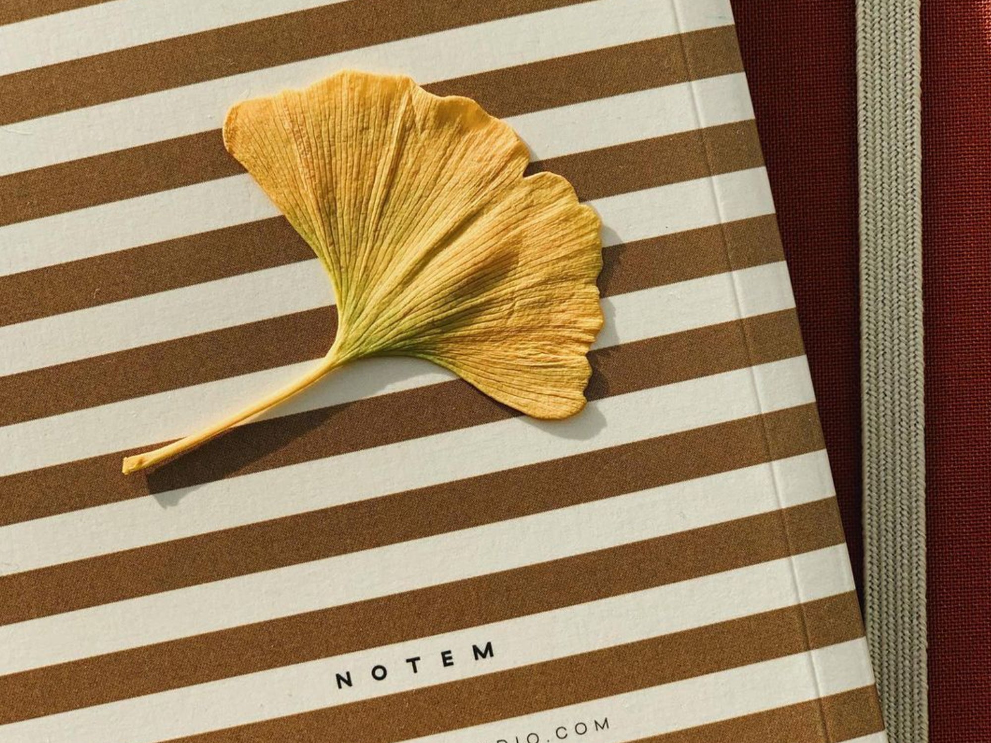 Notem VITA Journal - Small Ochre Notebook for Writing, Planning & Mindfulness | Perfect for Daily Journaling, Gratitude Logs & Creative Note Taking