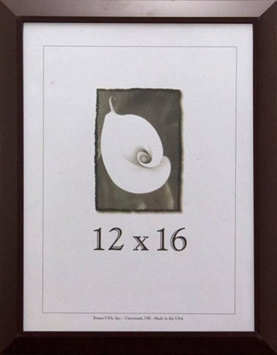 12x16 Polystyrene Poster Frames - Budget Saver Series in Cherry Finish | Wall Art Display for Home, Office & Classroom Decor