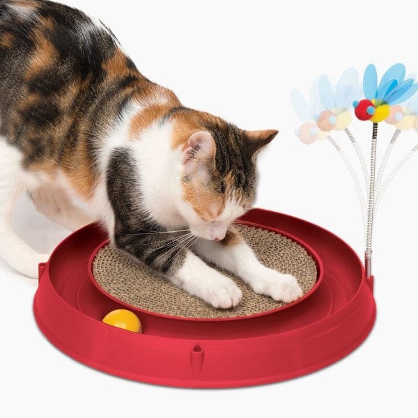 Catit Circuit Ball Toy with Scratch Pad - Interactive Cat Toy for Indoor Play, Exercise & Mental Stimulation - Perfect for Kittens & Adult Cats