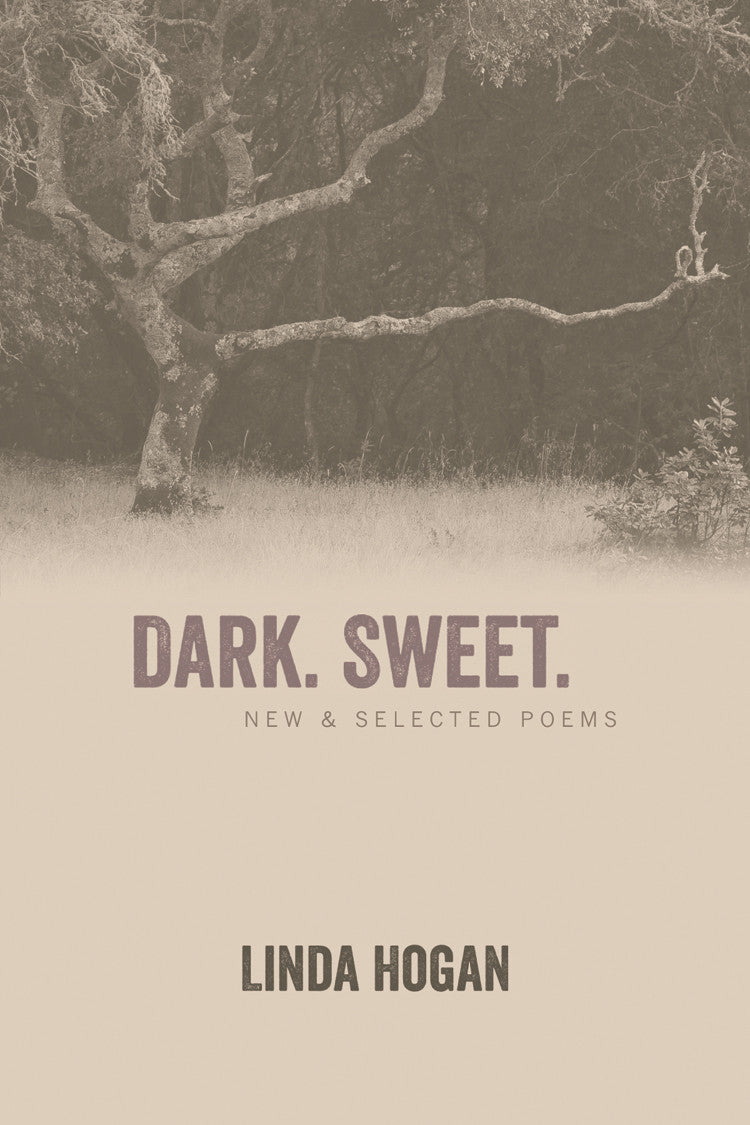 Dark Sweet Cherries - Fresh, Juicy & Delicious for Baking, Smoothies & Healthy Snacks