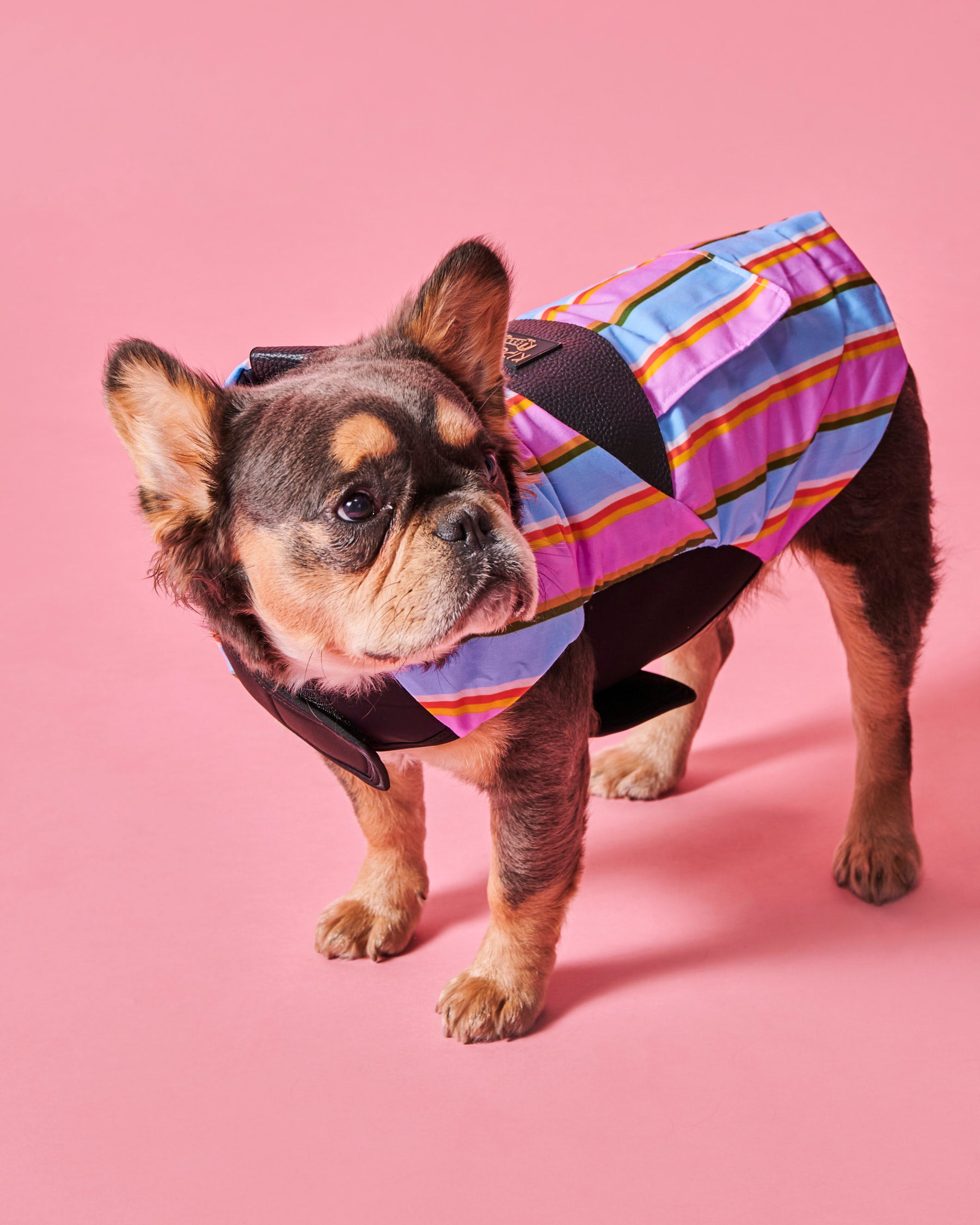 Fez Striped Dog Jacket - Waterproof & Warm Winter Coat for Small Medium Large Dogs - Perfect for Outdoor Walks, Hiking & Cold Weather Protection