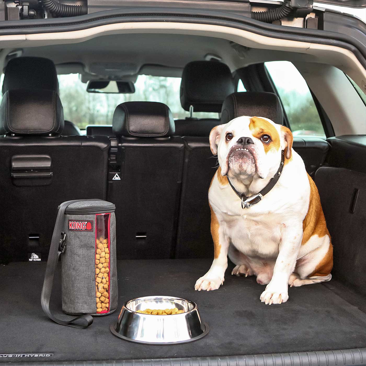 KONG Kibble Storage Bag - Airtight Dog Food Container for Freshness | Perfect for Travel, Camping & Home Storage