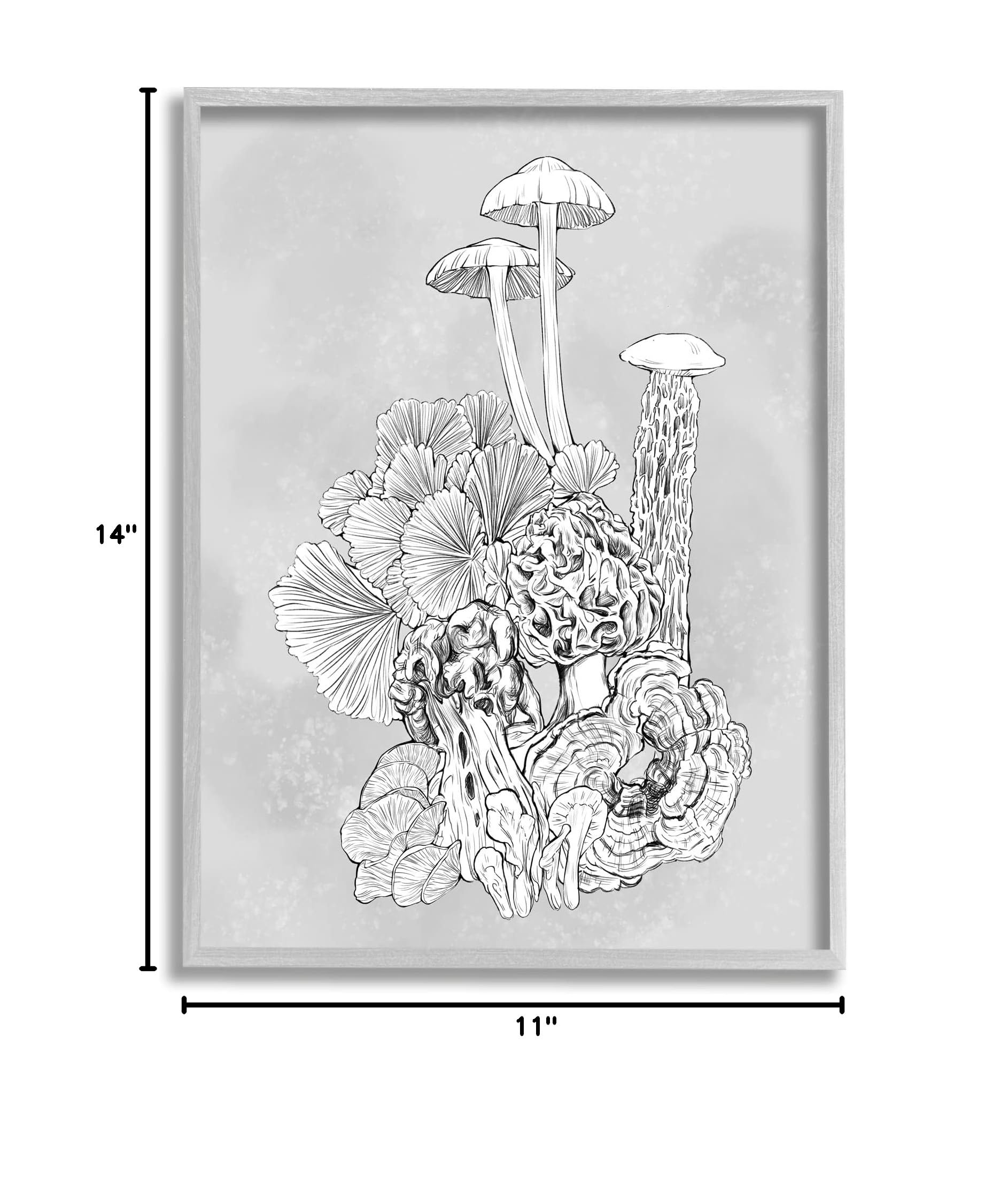 Stupell Industries Botanical Mushroom Art Print - Detailed Plant Study by Ziwei Li - Perfect for Home Decor, Office Wall Art & Nature Lover Gifts