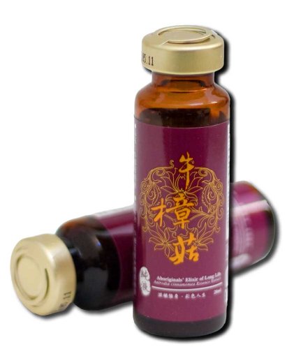 Premium Antrodia Cinnamomea Liquid Extract - 25g/L Polysaccharides - SGS & cGMP Certified, 100% Authentic (rDNA Verified) - 30x20ml Bottles - Taiwanese Herbal Supplement for Immune Support & Wellness