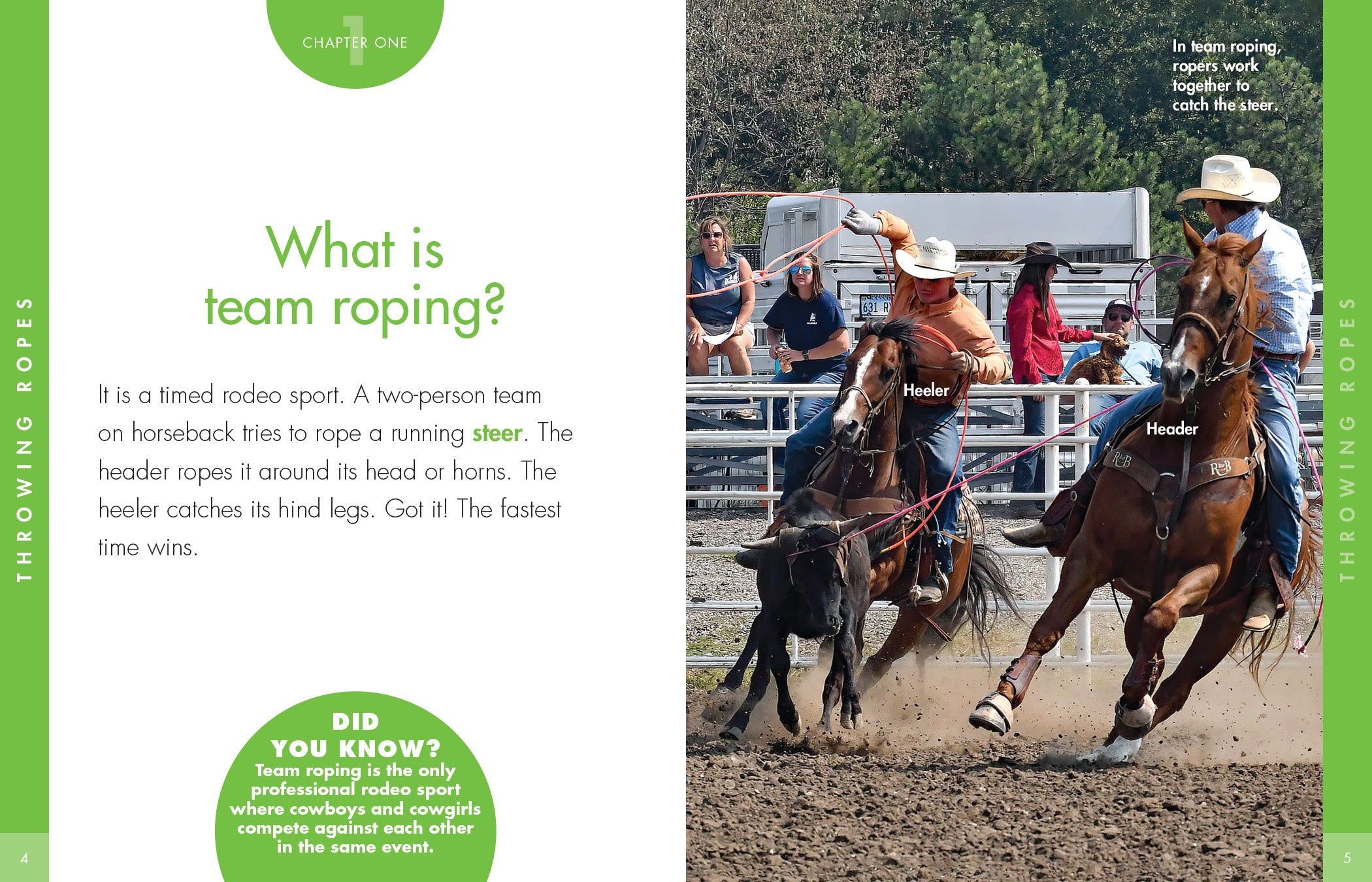 Best Team Roping Gear & Equipment for Rodeo Enthusiasts | Durable Ropes, Gloves & Accessories | Perfect for Ranch Work, Rodeo Practice & Cowboy Competitions