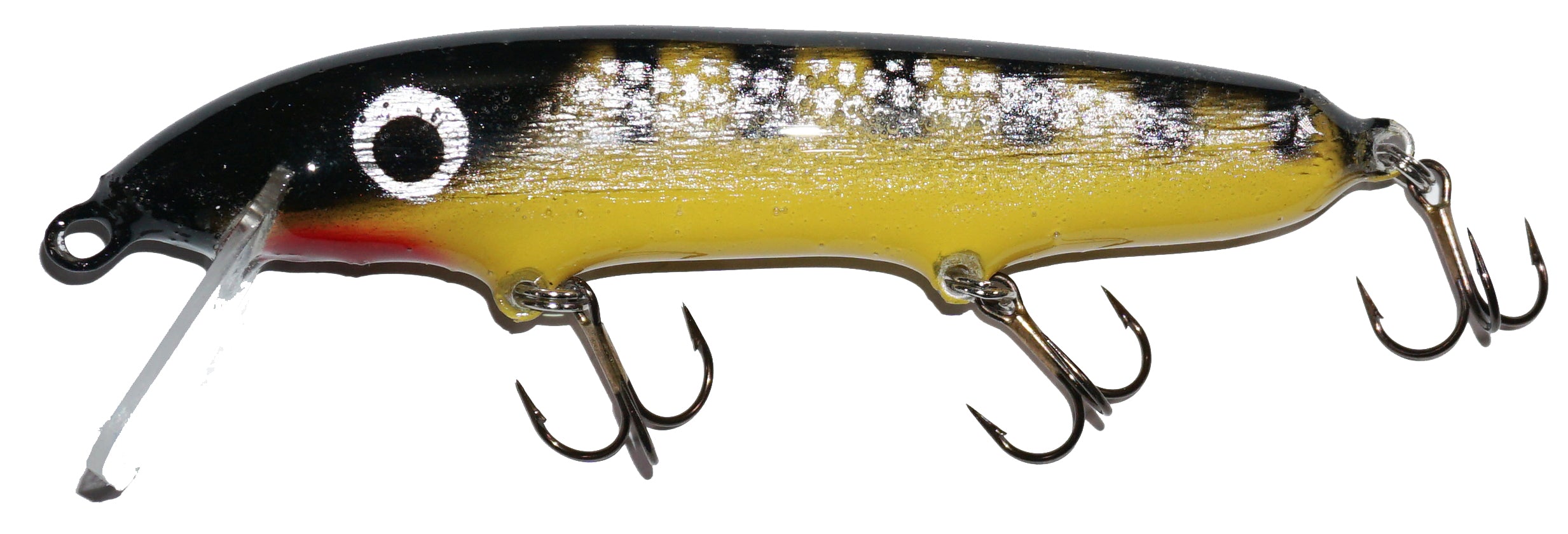 green perch/yellow belly