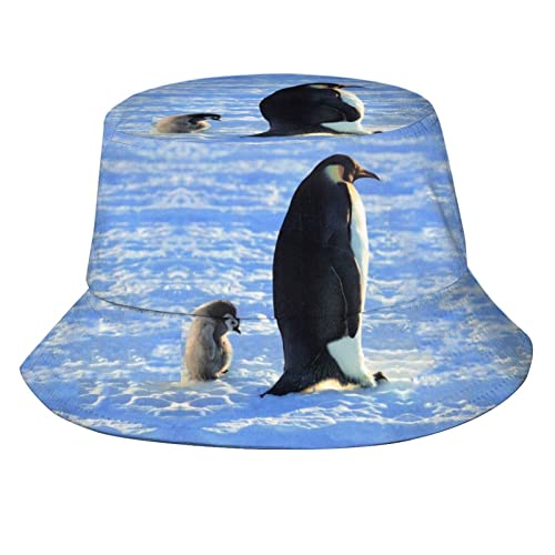 Penguin 05
