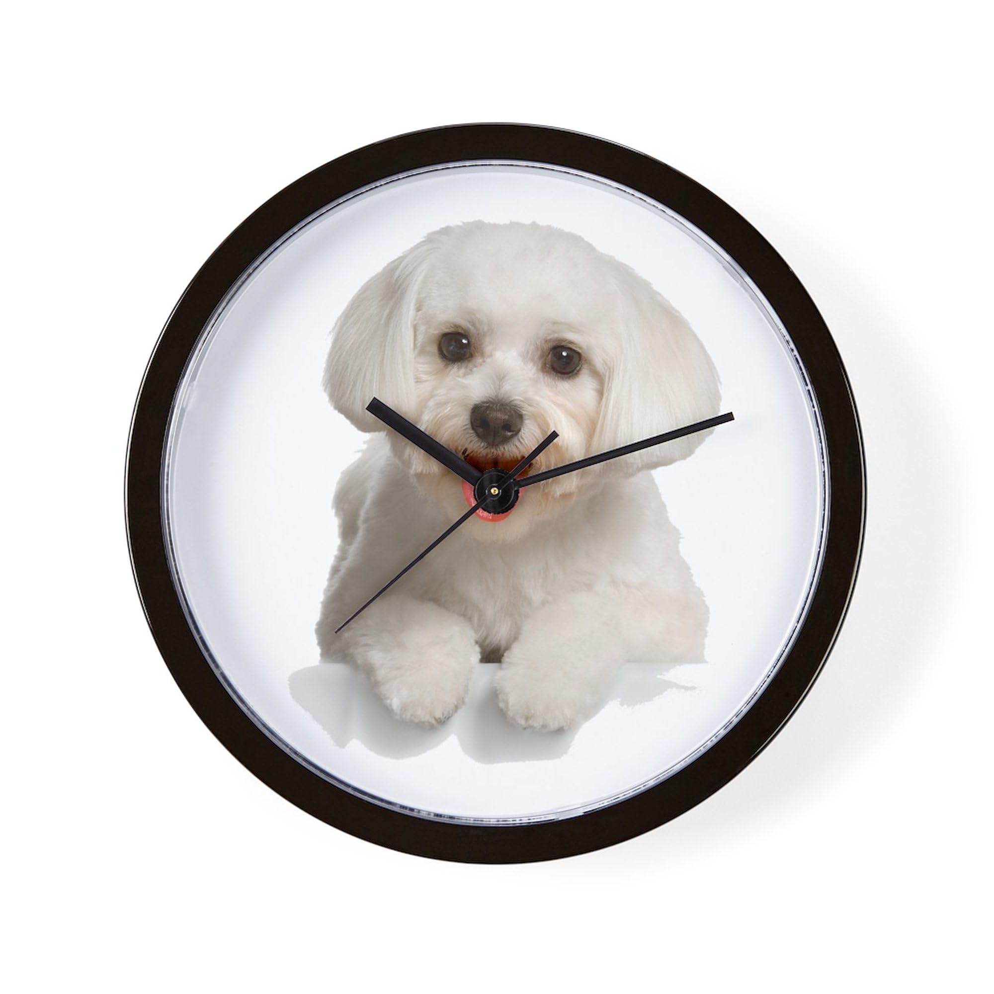 Bichon Frise 10 Inch Wall Clock - Decorative Round Silent Non-Ticking Clock for Living Room, Kitchen, Office, Bedroom & Home Decor - Perfect Gift for Dog Lovers & Pet Owners