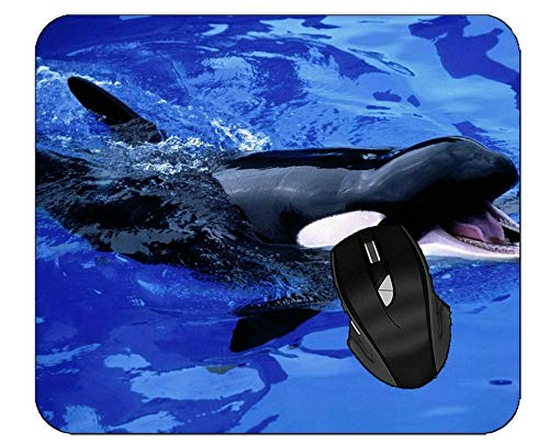 Premium Gaming Mouse Pad with Killer Whale Design - Non-Slip Rubber Base, Smooth Surface for Precision Control - Perfect for PC, Laptop, Esports & Office Use