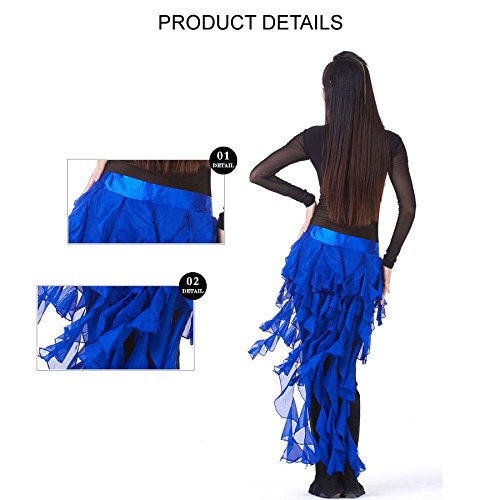Premium Egyptian Style Belly Dance Hip Scarf with Tassels - Latin Dance Belt Skirt for Women | Perfect for Performances, Costume Accessories & Dance Classes