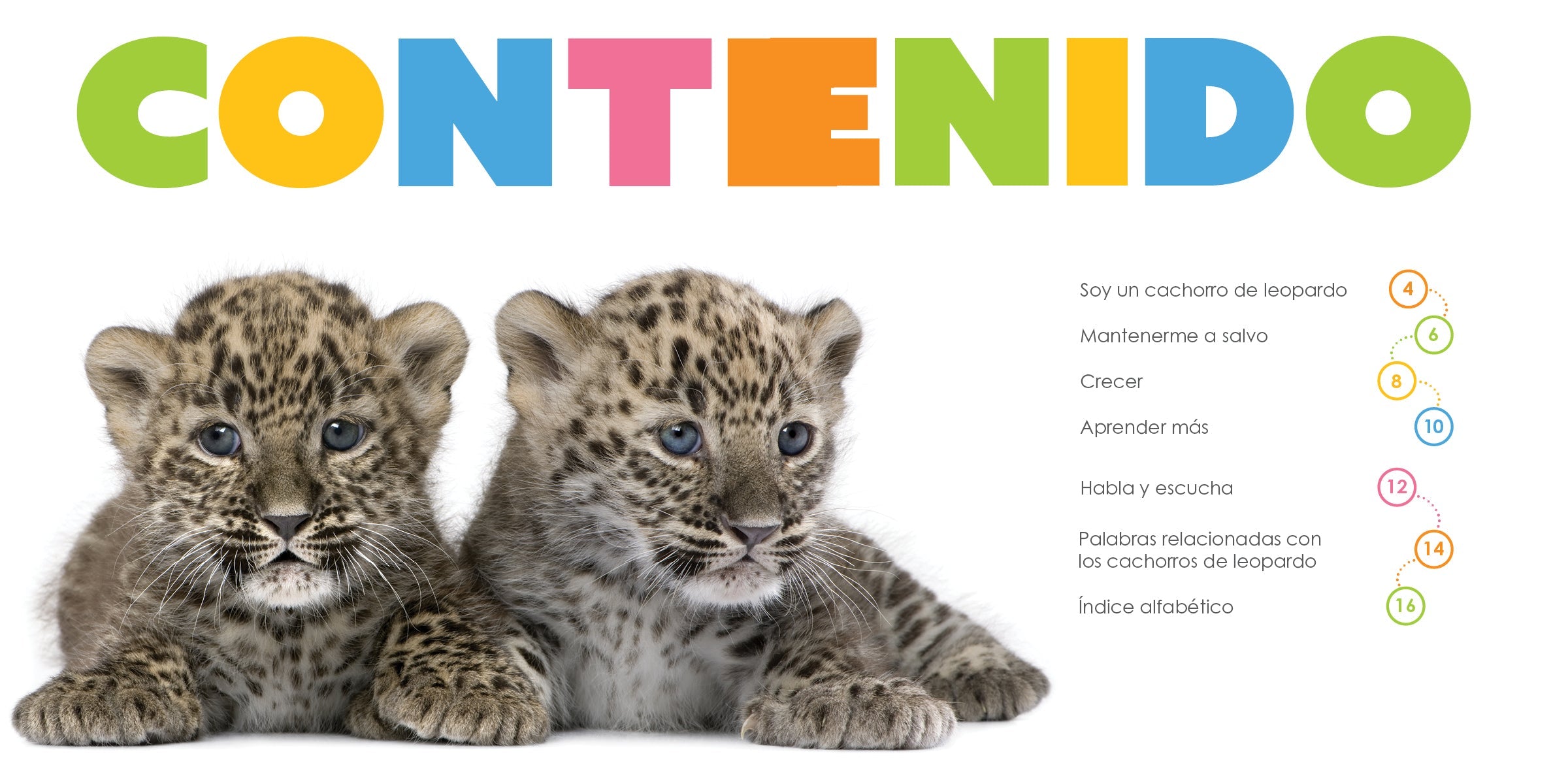 Leopard Print Baby Clothes - The Beginning of Style | Soft & Comfortable Outfits for Newborns & Infants | Perfect for Photo Shoots, Birthday Parties & Everyday Wear
