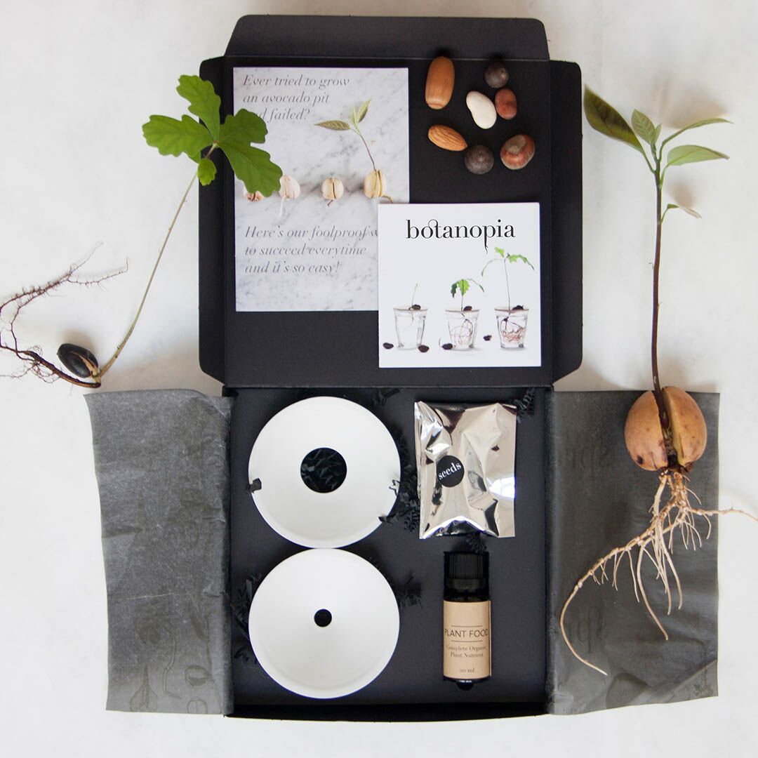 Premium Seed Germination Kit - Complete Plant Growing Starter Set for Indoor & Outdoor Gardening | Perfect Gift for Garden Enthusiasts & Beginners | Ideal for Home, Office, Balcony & Backyard Planting