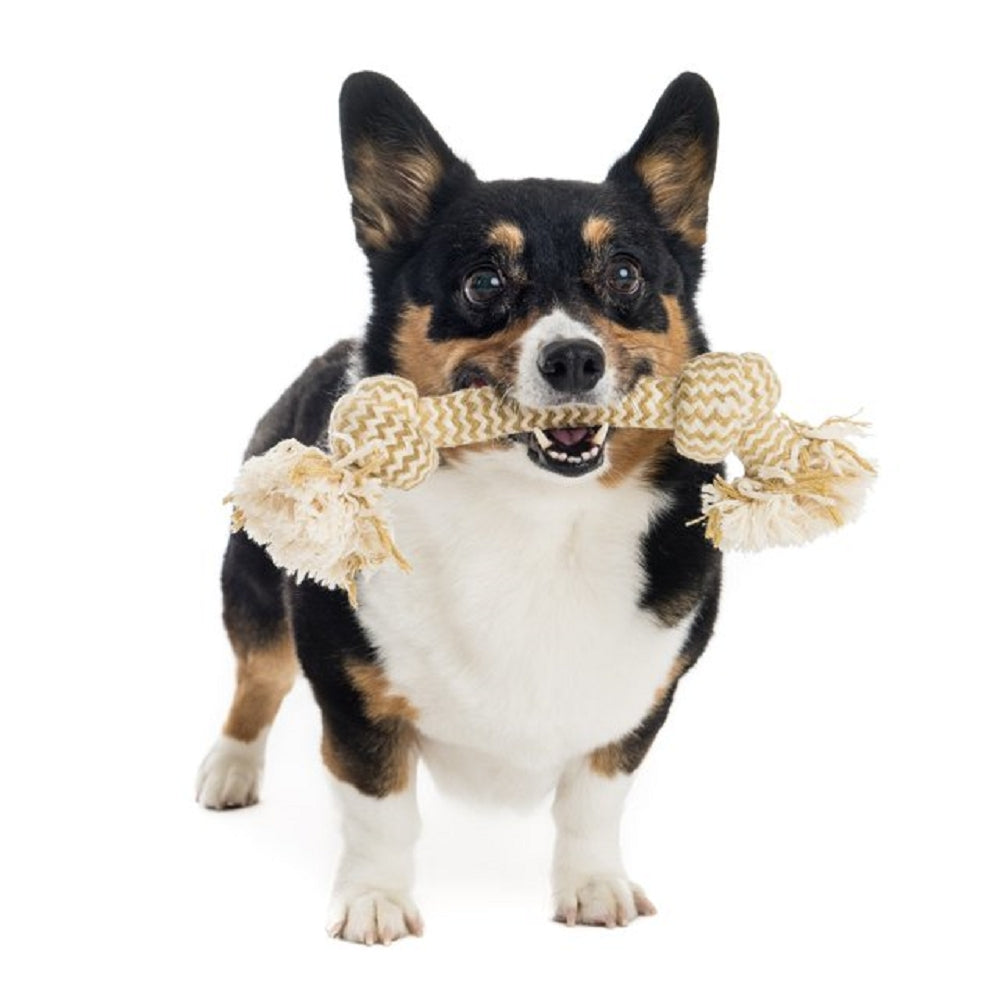 Extra Peanut Butter Scented Flossy Chews 2 Knots Dog Tug Toy - Durable Chew Toy for Aggressive Chewers, Interactive Play & Training - Perfect for Indoor & Outdoor Fun