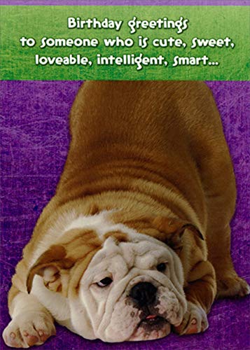 Funny Bulldog Birthday Card - Cute, Sweet & Smart Dog Greeting Card for Pet Lovers | Perfect for Dog Birthday Parties & Gift Exchanges