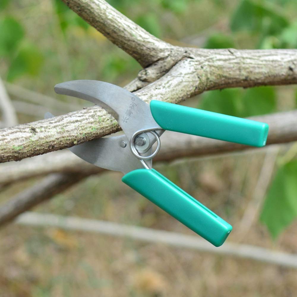 B-D Pruning Shears - Professional Garden Shears for Trimming, Cutting & Pruning | Heavy Duty Gardening Supplies & Landscaping Tools for Orchard, Yard & Home Use (Green) | Perfect for Shrubs, Branches & Household Greening Projects