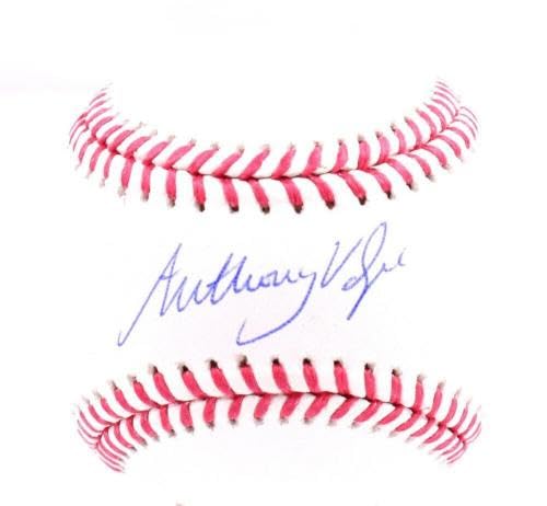 Anthony Volpe Autographed OML Baseball - Official MLB Licensed - Signed Collectible Baseball for Fans - Perfect for Display, Memorabilia Collections, and Yankees Gifts