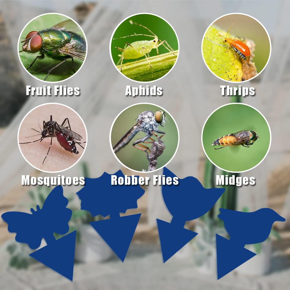 36 Pack Blue Sticky Traps for Fungus Gnats, Whiteflies, Mosquitoes - Indoor & Outdoor Plant Protection - Safe Non-Toxic Insect Catcher for Houseplants, Gardens, Greenhouses - Perfect for Organic Gardening & Pest Control