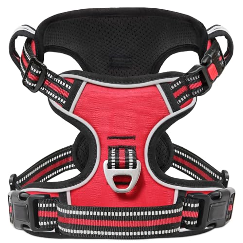 Lock Red