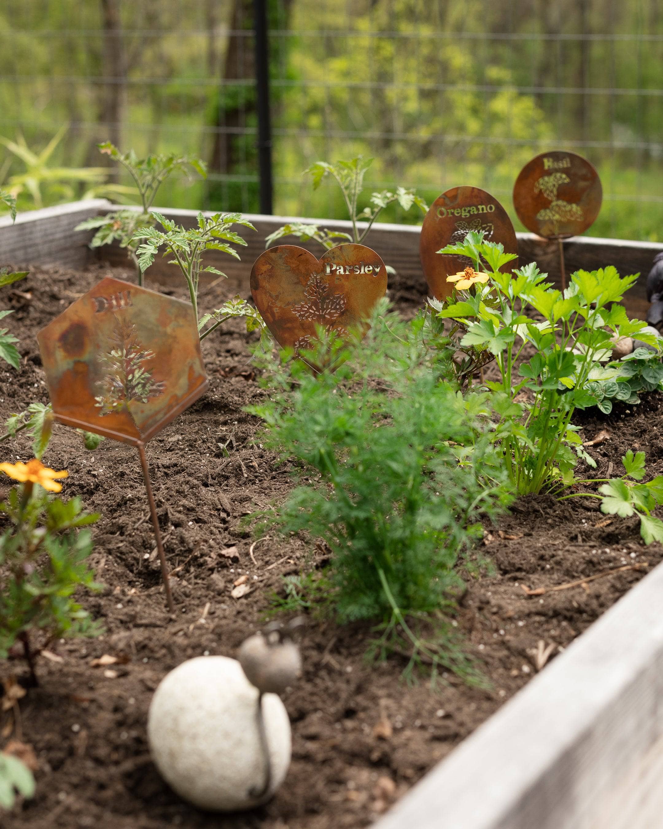 Organic Basil Herb Garden Stake - Handcrafted Plant Marker for Indoor & Outdoor Herb Gardens - Perfect for Kitchen Gardens, Windowsill Planters, and Backyard Herb Gardens
