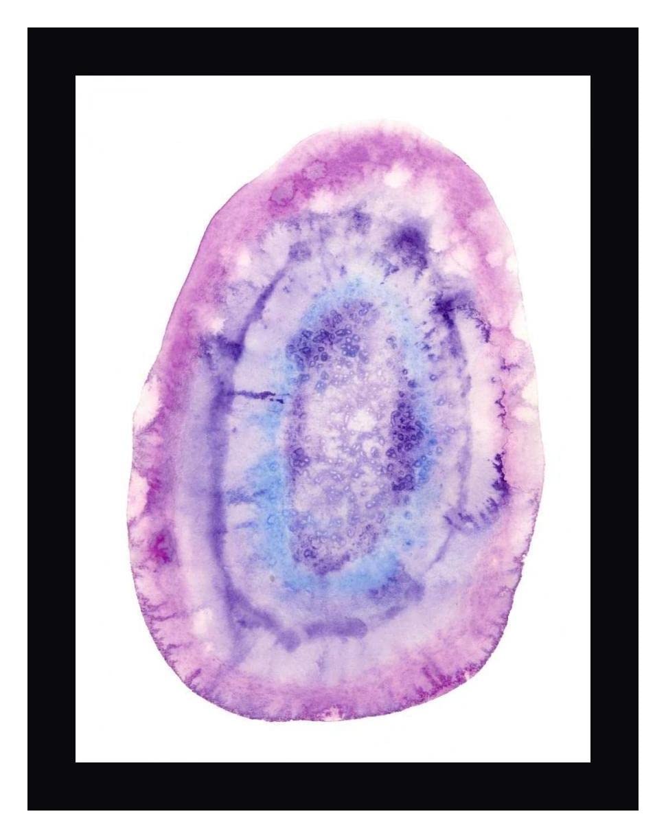 Radiant Geode I by Naomi McCavitt - 28x36 Inch Framed Canvas Wall Art Print with Black Frame - Ready to Hang - Perfect for Living Room, Bedroom, or Office Decor
