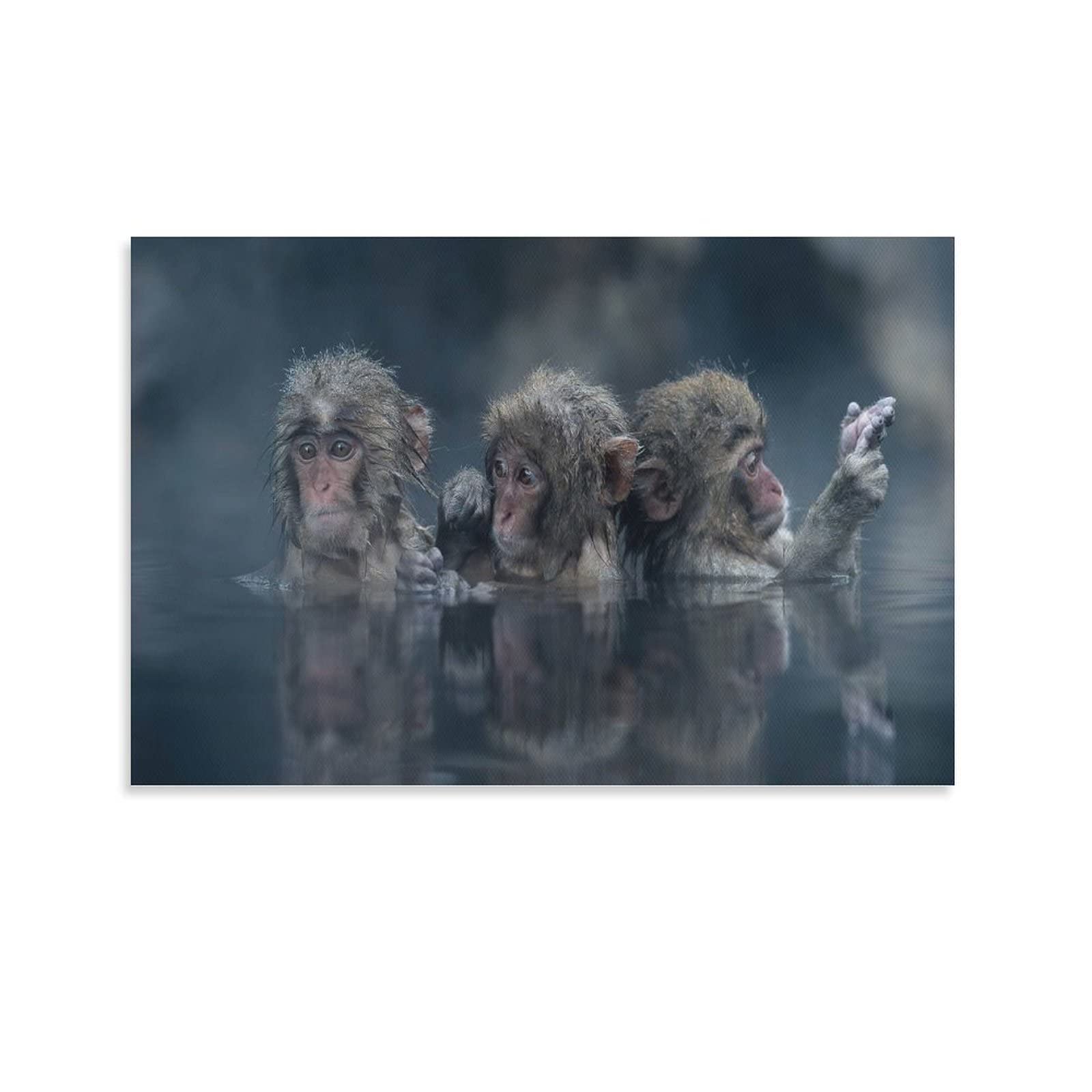 Animal Posters Trio - 8x12 Inch (20x30cm) Wall Art Prints for Living Room, Bedroom & Office Decor - Perfect for Home, Dorm & Gift Giving