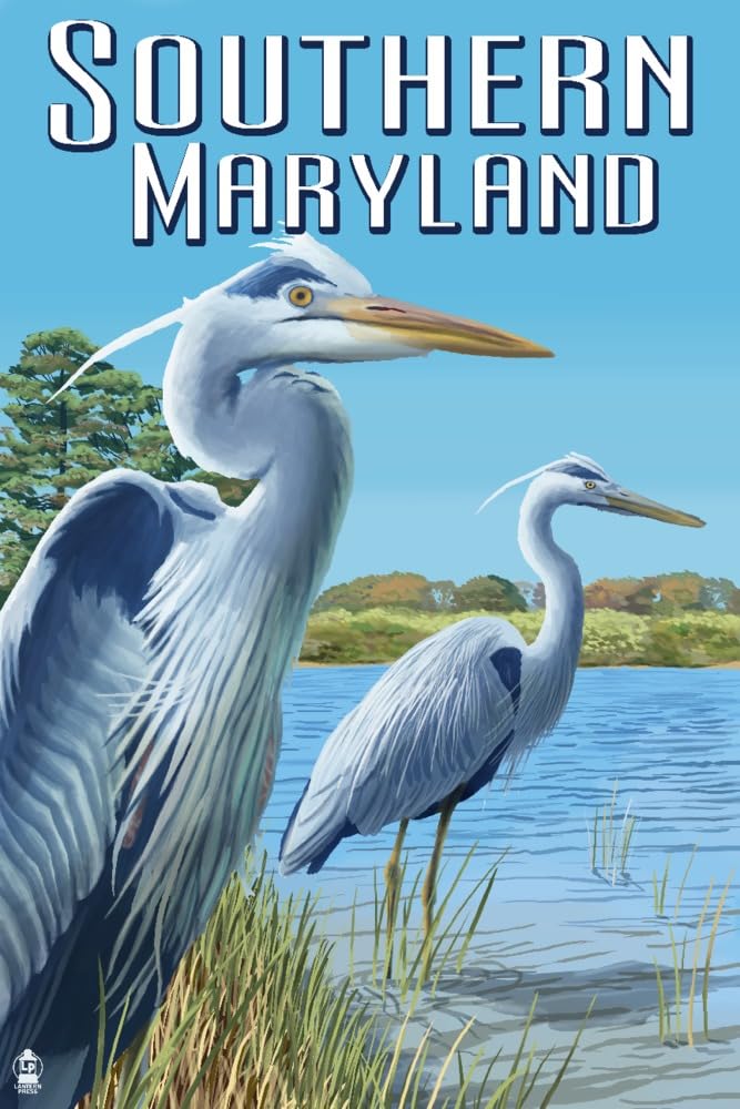 Lantern Press Southern Maryland Blue Herons Wall Art - 16x24 Wrapped Canvas Print for Home & Office Decor - Coastal & Nature Inspired Living Room Bedroom Painting