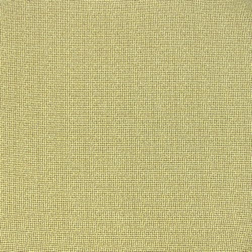 Ginger Yellow