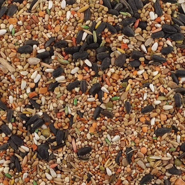 Premium Cockatiel & Lovebird Food Mix - Living World High-Quality Bird Seed Blend for Healthy Diet - Ideal for Daily Feeding & Bird Nutrition