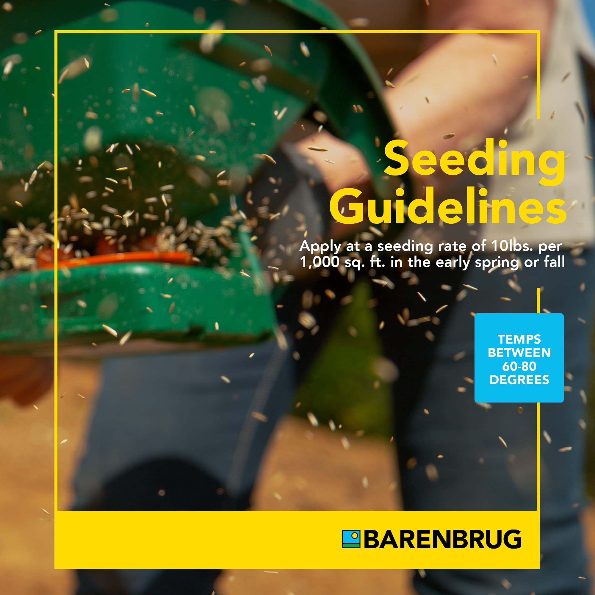 Barenbrug 25626 Turf Sense Athletic Field Grass Seed - 25 LB Bag for Sun & Partial Shade Areas | High-Performance Sports Turf for Football, Soccer & Playgrounds