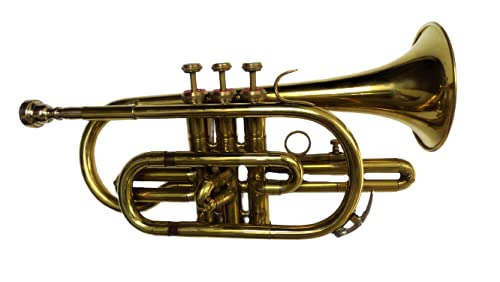 Premium Bb Cornet with Gold Finish - Professional Brass Instrument for Bands & Soloists - Includes Protective Case - Ideal for Performances, Practice & Music Education