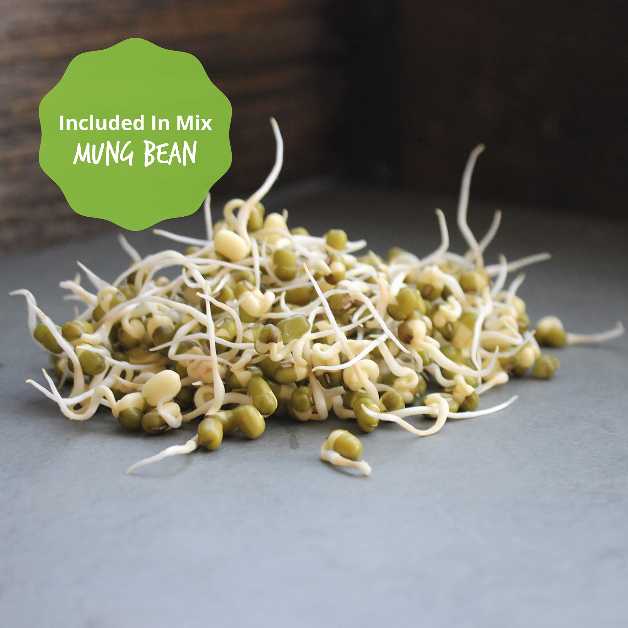 Organic Sprouting Seeds - Handy Pantry Sweet Protein Mix - 35 lb. Bulk Sealed Storage Bucket - Fava Bean, Mung Bean & Yellow Pea Seeds - High Protein Superfood for Daily Health, Emergency Food Storage & Home Gardening
