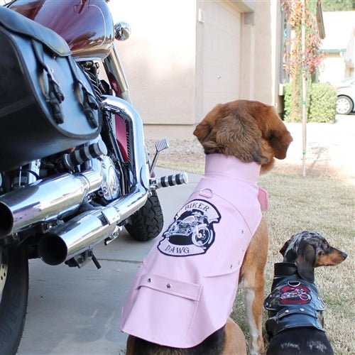 Biker Dawg Motorcycle Dog Jacket - Black - Waterproof & Reflective Safety Vest for Riding with Your Pet - Perfect for Harley, Cruiser & Adventure Bikes