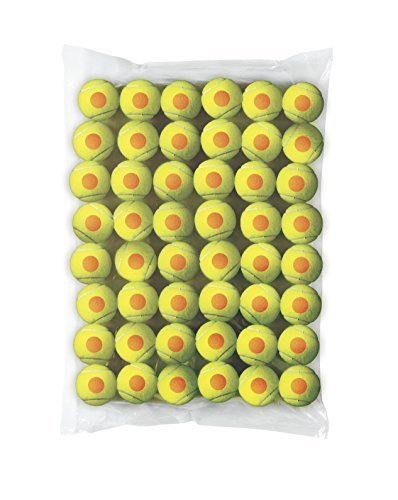 Wilson Kid's Starter Tennis Balls - Yellow/Yellow by Wilson | Practice & Training Tennis Balls for Kids | Perfect for Beginners, Backyard Play & Junior Tennis Lessons