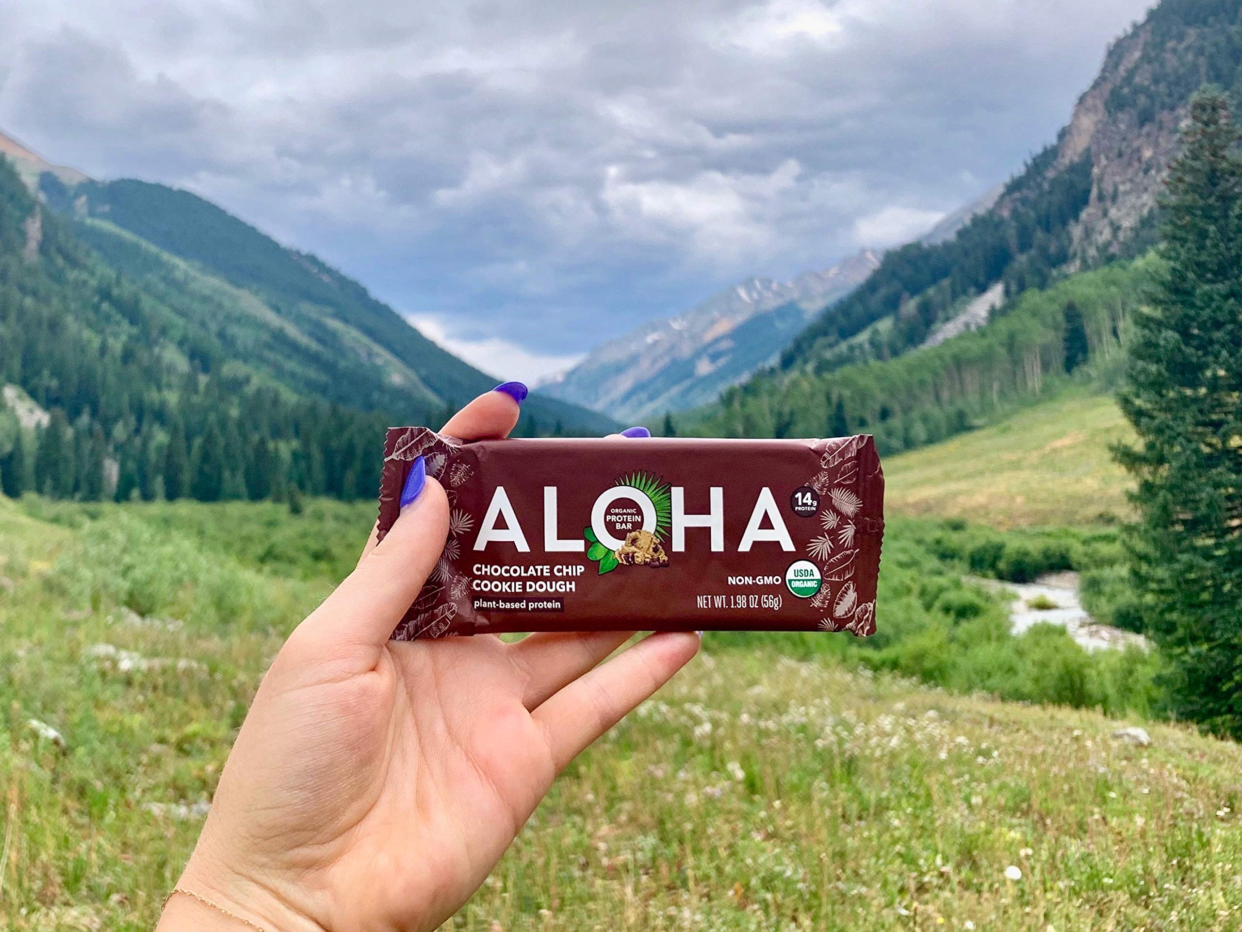 ALOHA Organic Plant-Based Protein Bar - Chocolate Chip Cookie Dough Flavor, 1.98 Oz (12 Pack) | Vegan, Gluten-Free, Non-GMO Snack for Workout Recovery, Healthy Breakfast & On-the-Go Energy